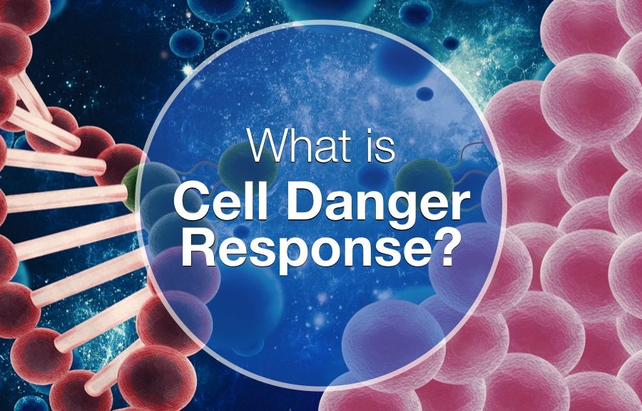What is Cell Danger Response? Protecting the Human Body From Harm 
